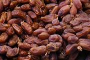 Jasa Import Kurma