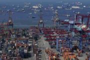 Jasa Import dari Selandia Baru